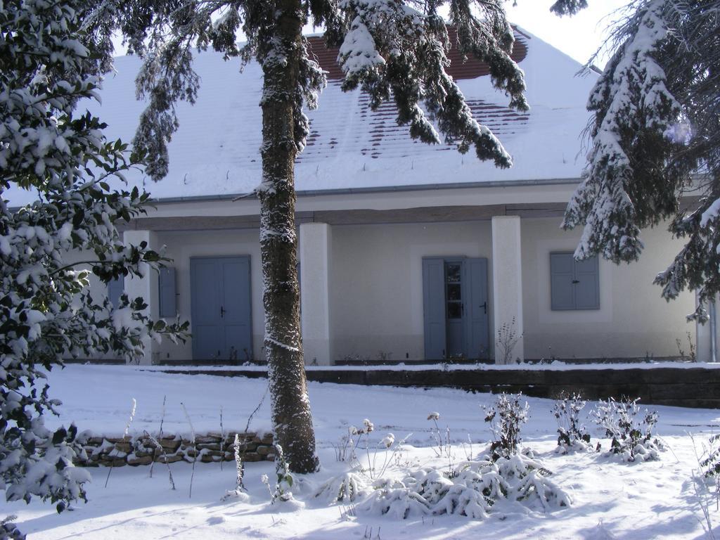 Bagolyvar Fogado- Ujfalusy Marton Vendeghaz Zirc Exterior foto