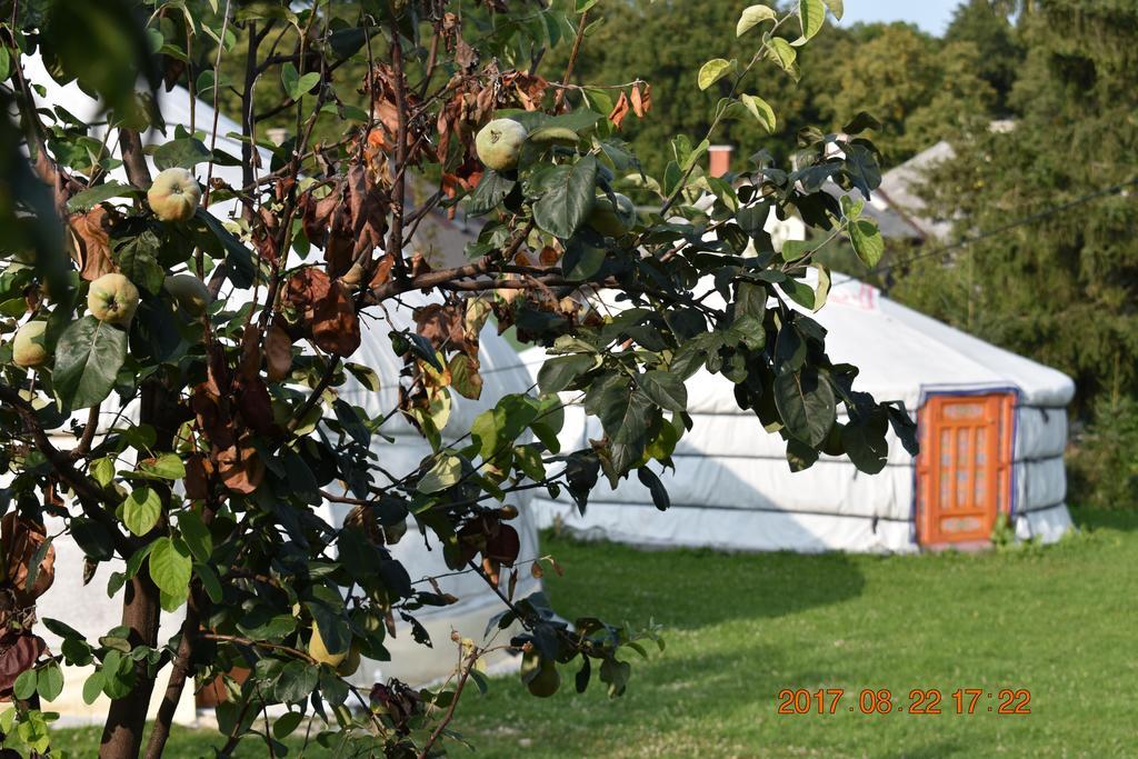 Bagolyvar Fogado- Ujfalusy Marton Vendeghaz Zirc Exterior foto