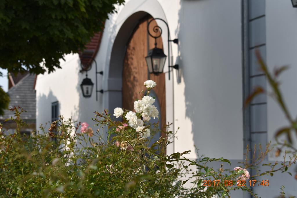 Bagolyvar Fogado- Ujfalusy Marton Vendeghaz Zirc Exterior foto