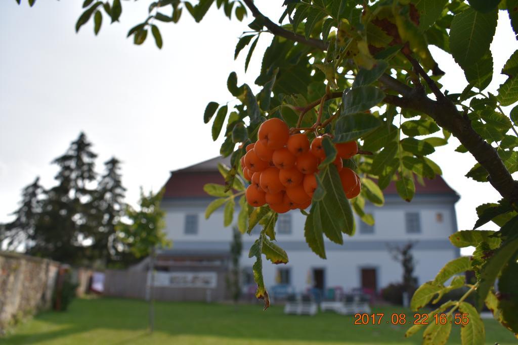 Bagolyvar Fogado- Ujfalusy Marton Vendeghaz Zirc Exterior foto
