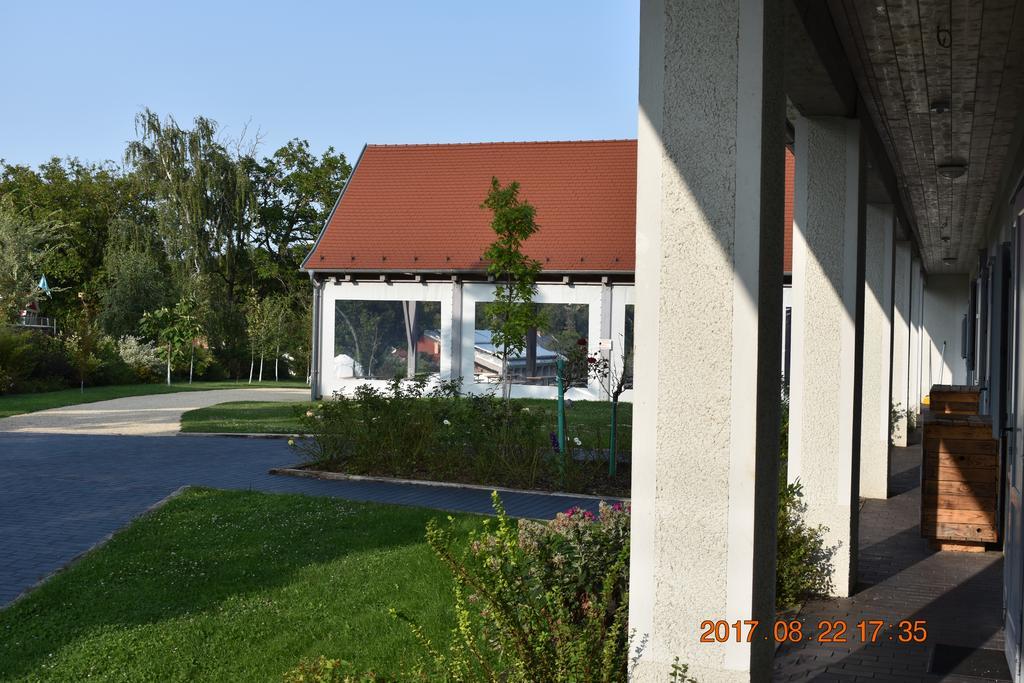 Bagolyvar Fogado- Ujfalusy Marton Vendeghaz Zirc Exterior foto